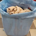 Ветошь хб МАХРА прессованная
